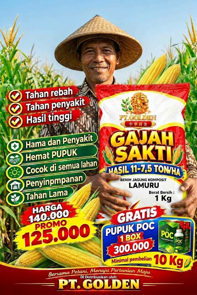 Jagung GAJAH SAKTI